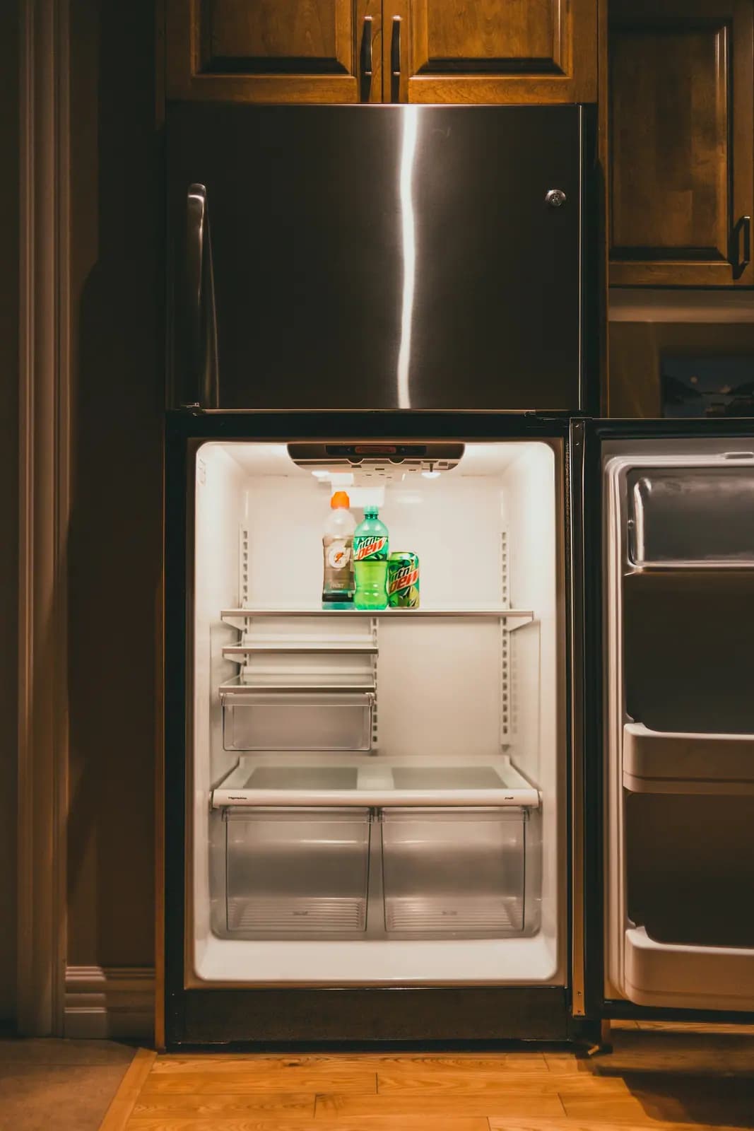 Top-freezer refrigerator with its fresh-food door open and shelves lit